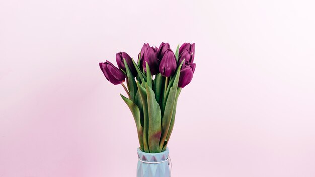 Fresh red tulip flowers in vase on pink backdrop