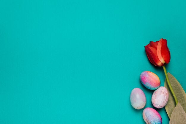 Fresh red tulip and painted easter eggs on green backdrop