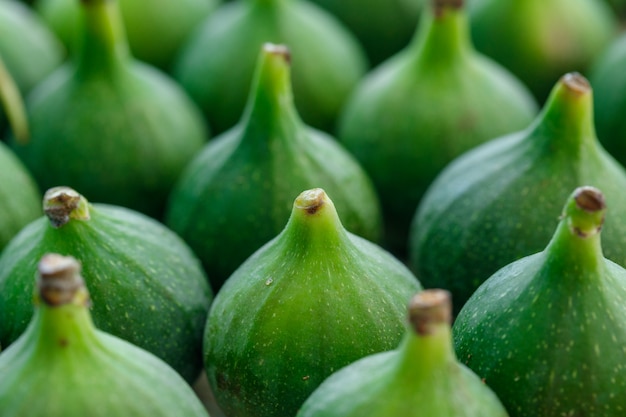 Free photo fresh ripe figs . close-up . vertical.