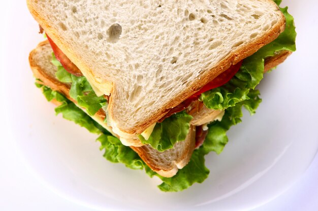 Свежий сандвич с овощами и помидорами