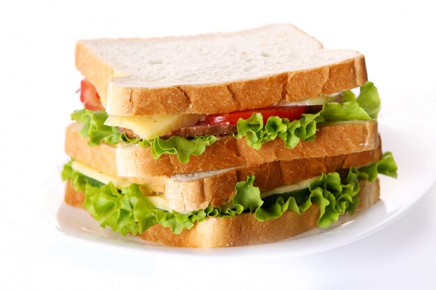 Fresh sandwich with vegetables and tomatoes