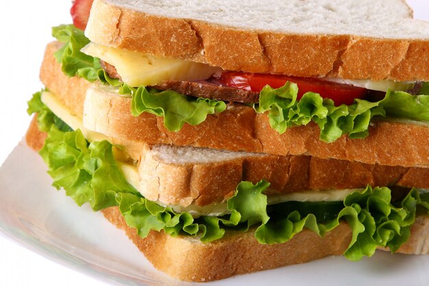 Fresh sandwich with vegetables and tomatoes