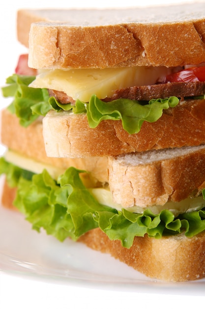Fresh sandwich with vegetables and tomatoes