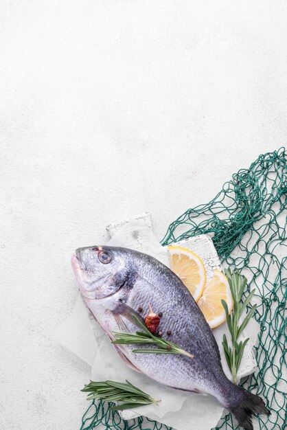Fresh sea bream fish and green fish net