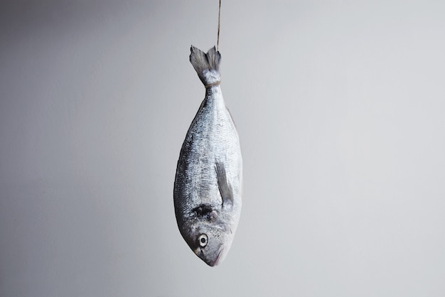 Fresh sea bream hanged for tail on rope in center