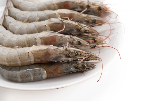 Free photo fresh shrimp/prawn