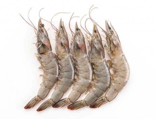 Free photo fresh shrimp/prawn