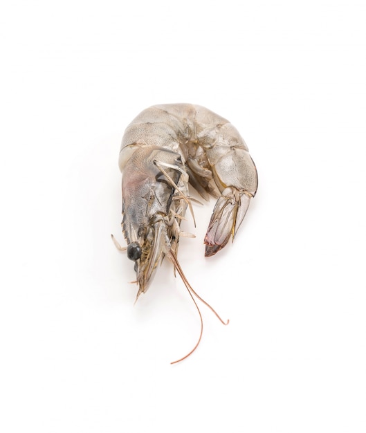 Free photo fresh shrimp/prawn