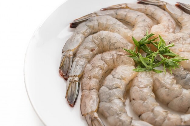 fresh shrimp/prawn