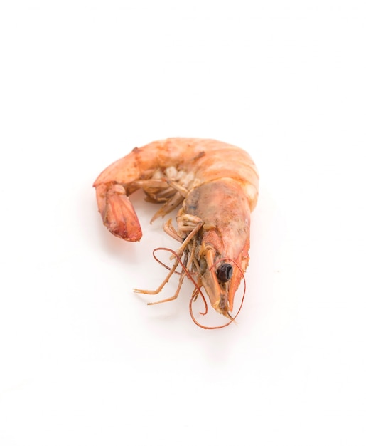 fresh shrimp/prawn