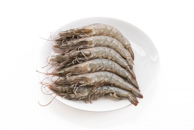 fresh shrimp/prawn