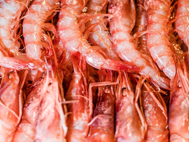 Free photo fresh shrimps for sale in market