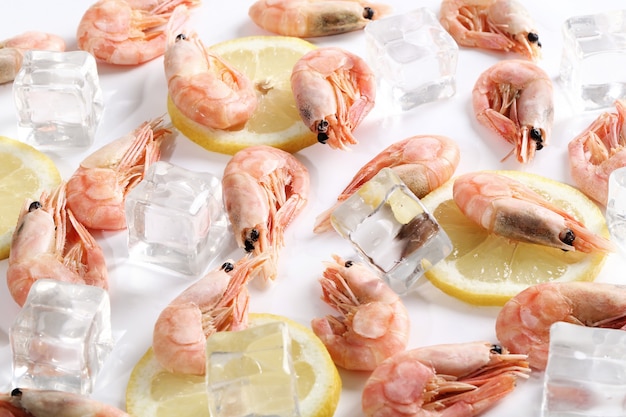 Free photo fresh shrimps with ice and lemon