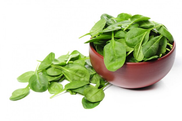 Fresh spinach leaves in bowl isolated