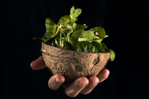 Free photo fresh spinach leaves in a coconut bowl on a dark surface