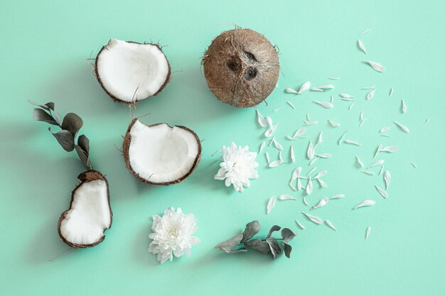 Fresh split coconut on blue