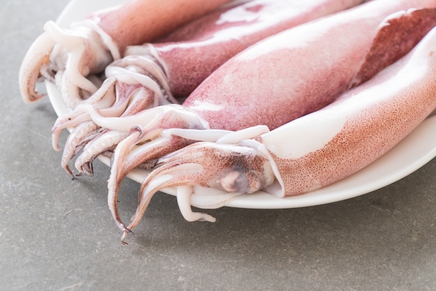 Fresh squid