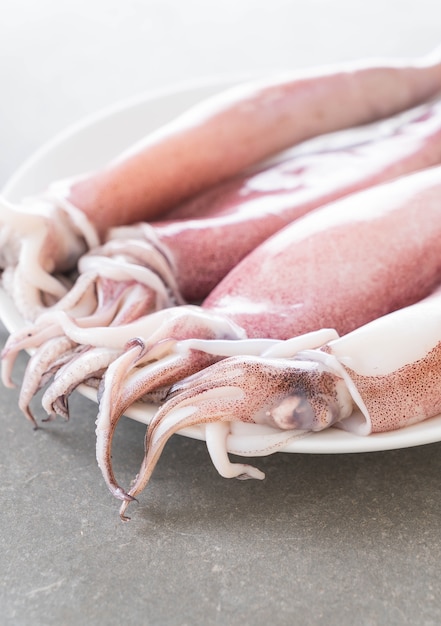 Free photo fresh squid