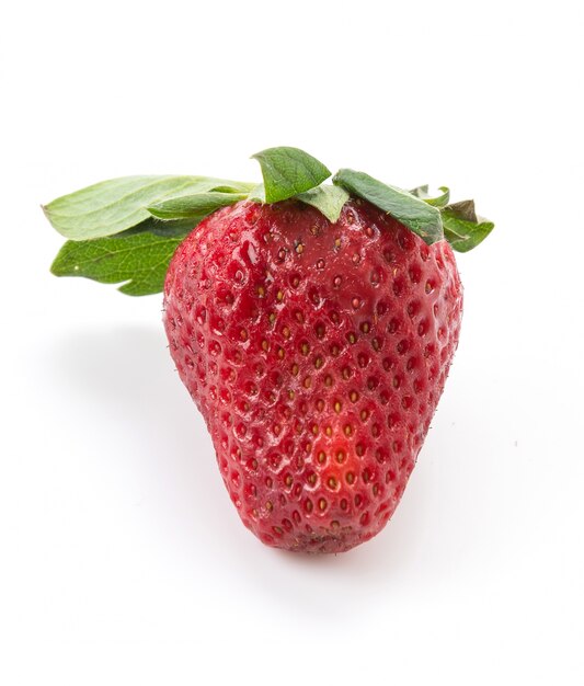 신선한 딸기
