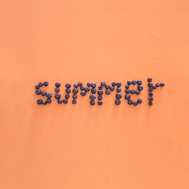 무료 사진 블루 베리와 신선한 여름