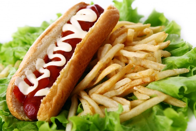 Fresh and tasty hot dog with fried potatoes