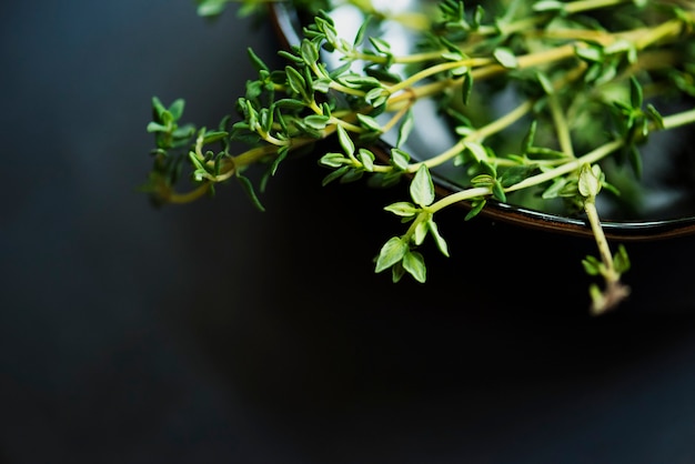 Free photo fresh thymes herb