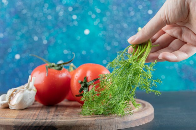 Fresh tomatoes with garlic on a wooden board. 