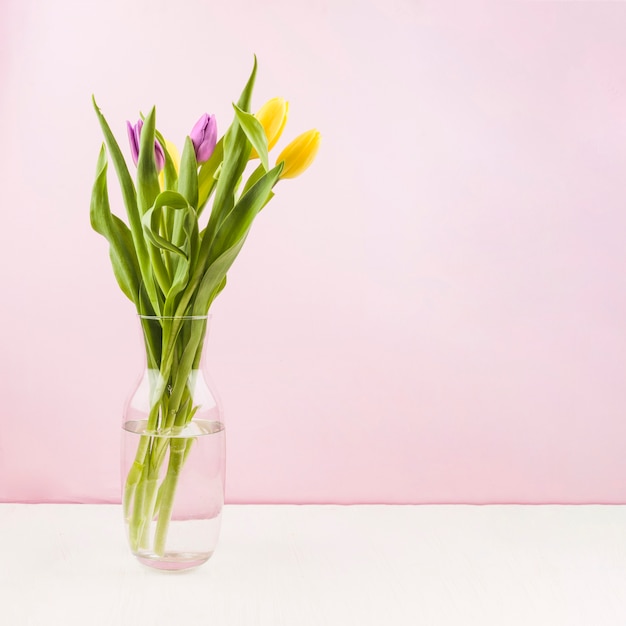 Foto gratuita tulipani freschi all'interno di un vaso