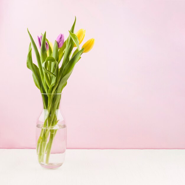 Fresh tulips inside a vase