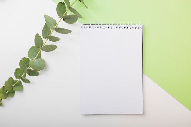 Fresh twig and blank spiral notebook on dual white and green backdrop