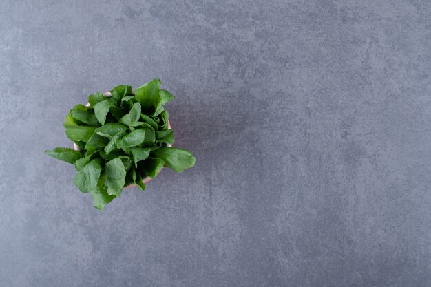 Fresh watercress in cup, on the marble surface.