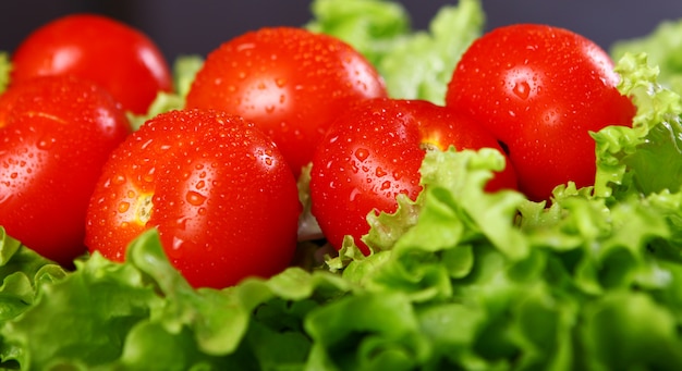 Fresh and wet tomatoes