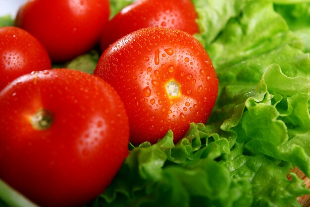 Fresh and wet tomatoes