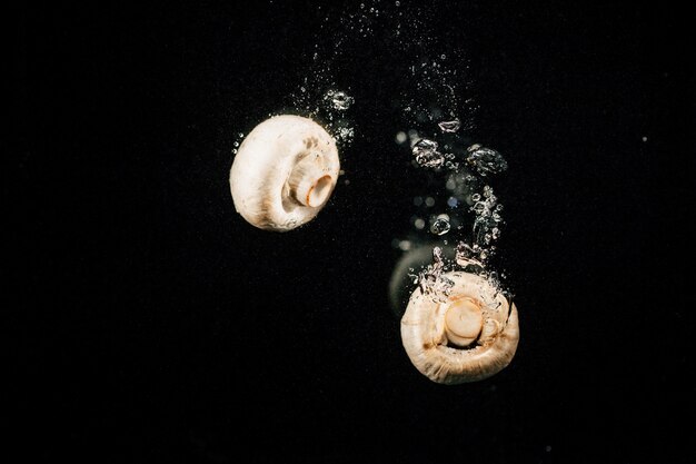 Fresh white mushrooms fall in water on black background