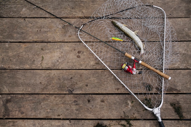 Freshly caught fish inside the fishing net with fishing rod over the wooden pier