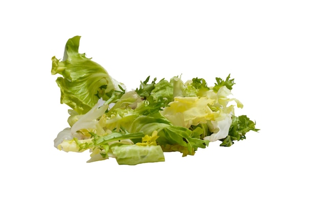 Free photo freshness green leaf lettuce on white background.