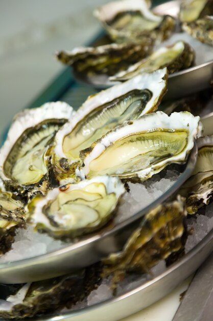 freshness oysters on plates 