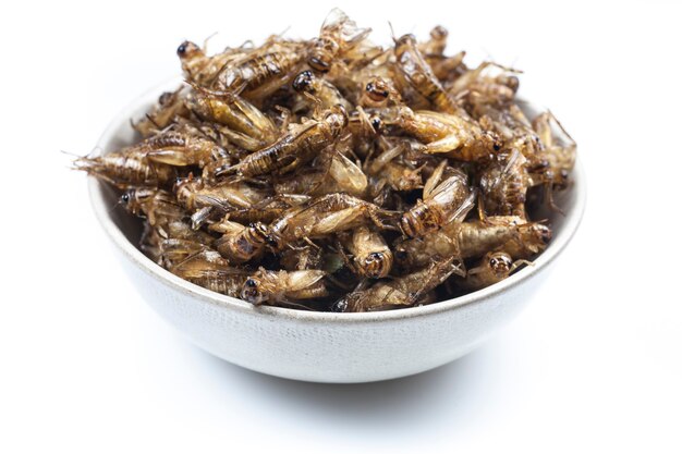クリケットの揚げ物や揚げ物の昆虫は ネイティブのタイ料理です プレミアム写真