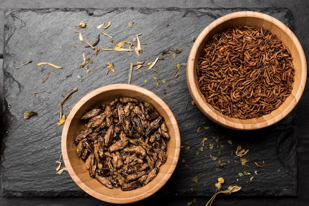 Fried insects in wooden bowl top view