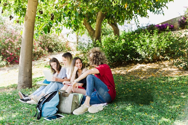 Friends chatting and studying in park