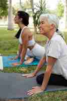 Free photo friends doing yoga together in park