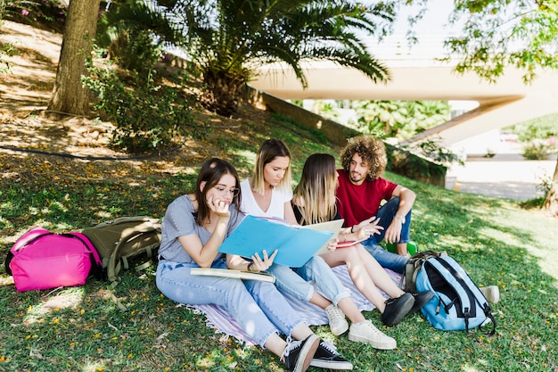 Friends studying and talking in park