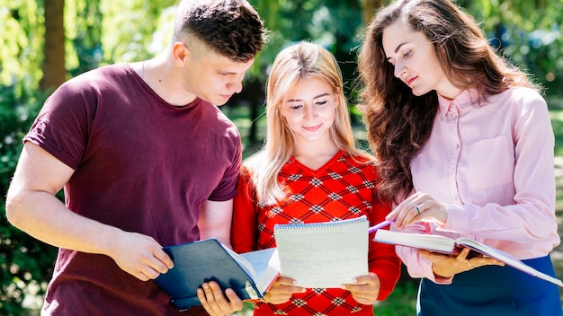 Free photo friends studying together outside