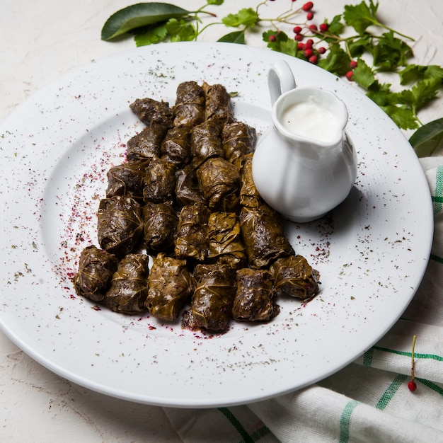 From above dolma with yogurt and rowan in white plate