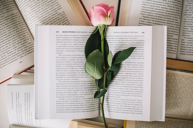 From above rose on opened books