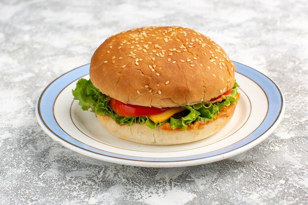 Front close view chicken sandwich with green salad and vegetables inside on the white desk