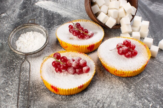 Front close view delicious cranberry cakes baked and yummy with red cranberries on top