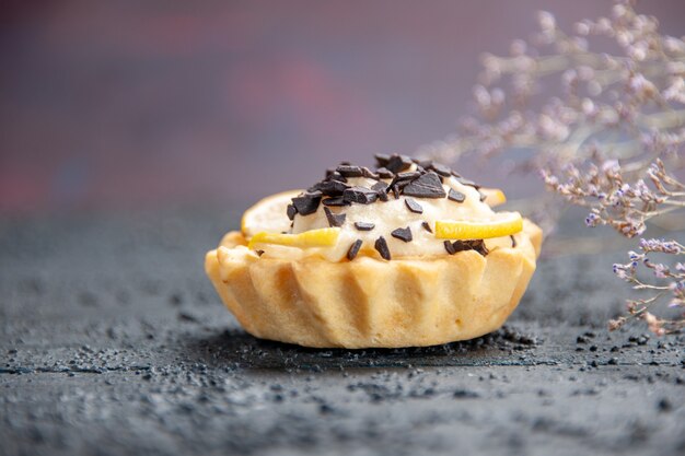 Front close view lemon tart with chocolate dried flower branch on dark background