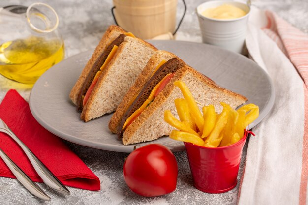 Front close view tasty toast sandwiches with cheese ham inside plate with french fries sour cream and oil on the white surfacesnack