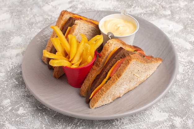Front close view tasty toast sandwiches with cheese ham inside plate with french fries and sour cream